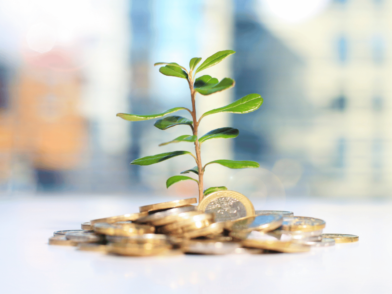 krátkodobé investície a šetrenie